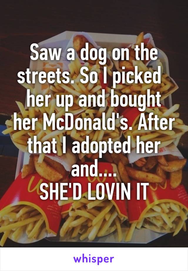Saw a dog on the streets. So I picked  
her up and bought her McDonald's. After that I adopted her and....
SHE'D LOVIN IT
