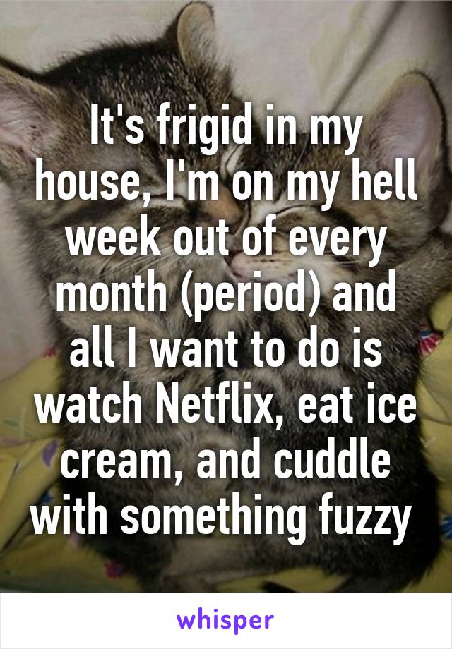 It's frigid in my house, I'm on my hell week out of every month (period) and all I want to do is watch Netflix, eat ice cream, and cuddle with something fuzzy 
