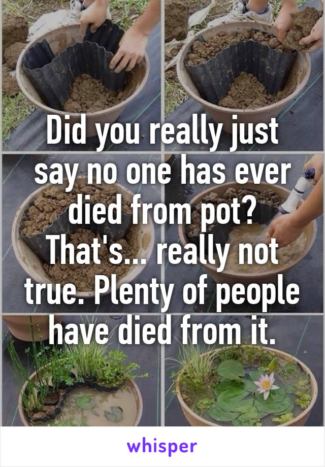 Did you really just say no one has ever died from pot? That's... really not true. Plenty of people have died from it.