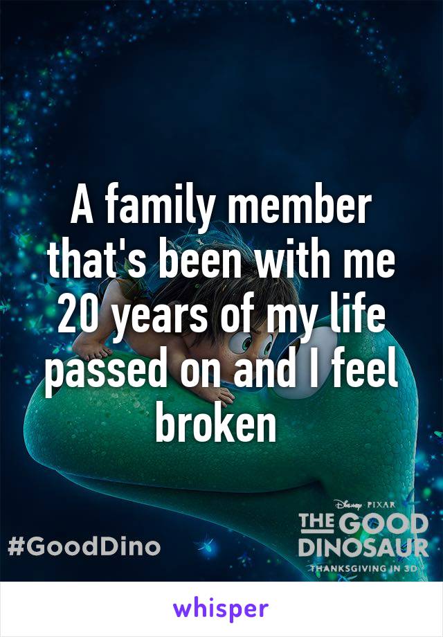 A family member that's been with me 20 years of my life passed on and I feel broken 