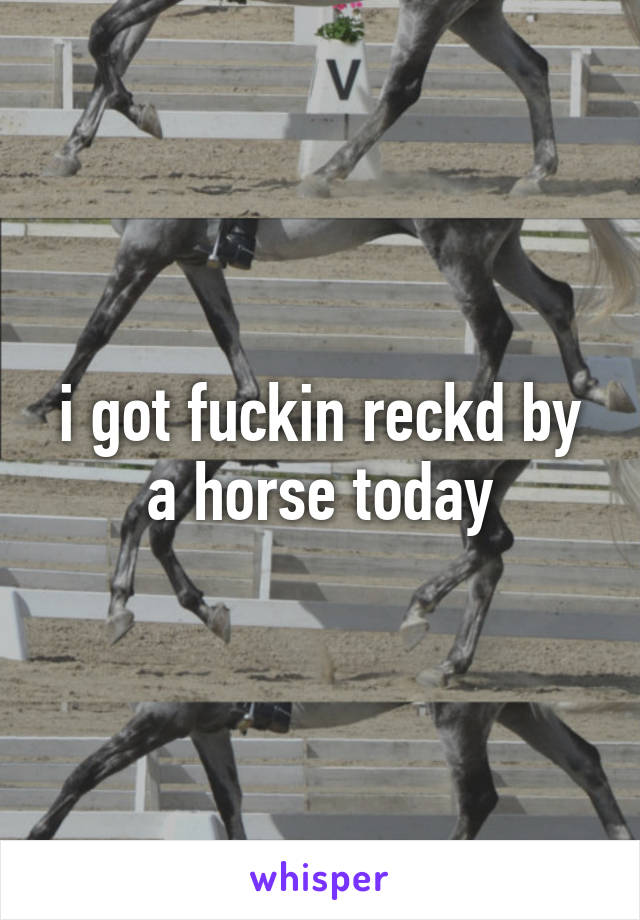 i got fuckin reckd by a horse today