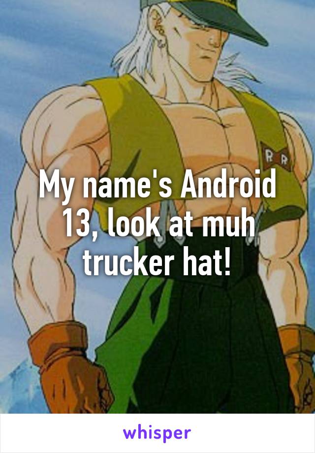 My name's Android 13, look at muh trucker hat!