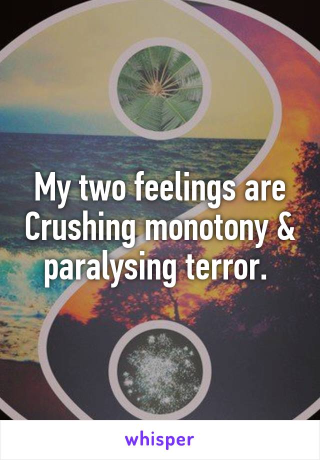 My two feelings are Crushing monotony & paralysing terror. 