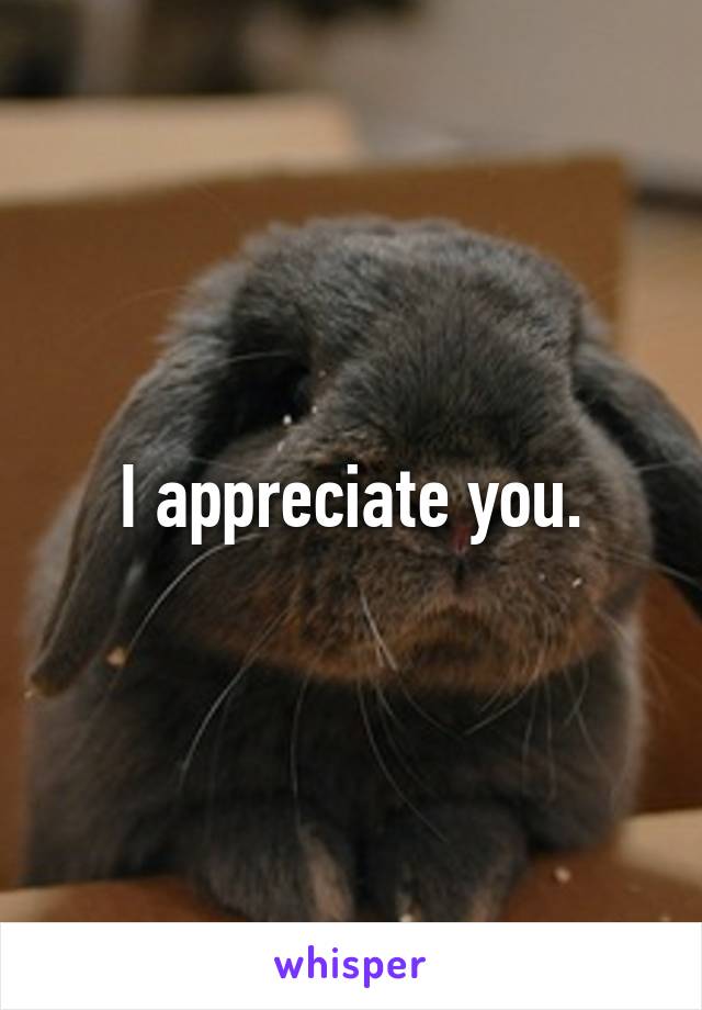 I appreciate you.