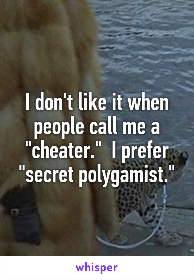 I don't like it when people call me a "cheater."  I prefer "secret polygamist."