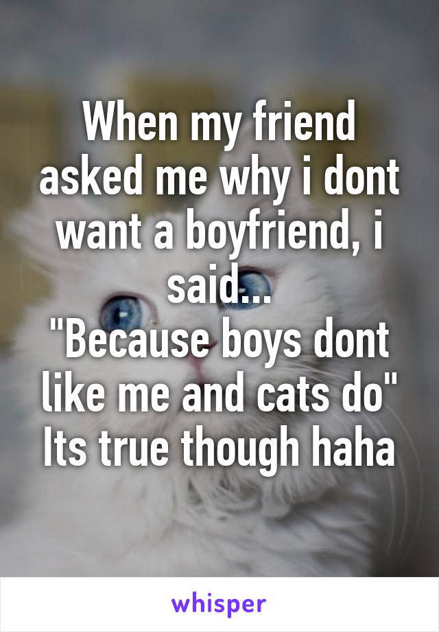 When my friend asked me why i dont want a boyfriend, i said...
"Because boys dont like me and cats do"
Its true though haha 