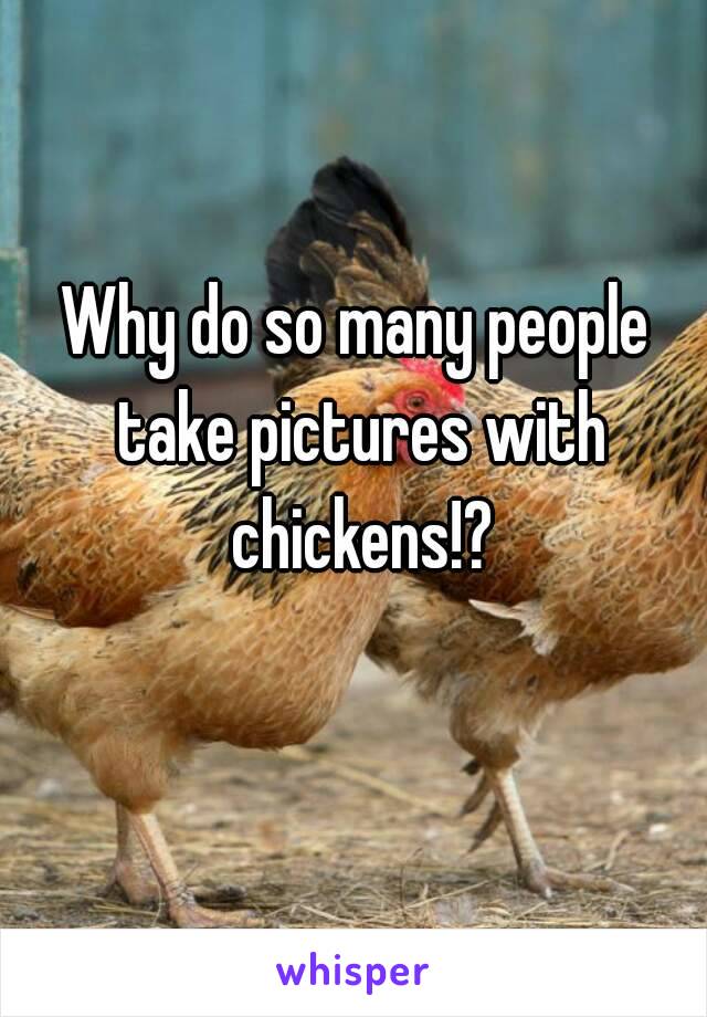 Why do so many people take pictures with chickens!?