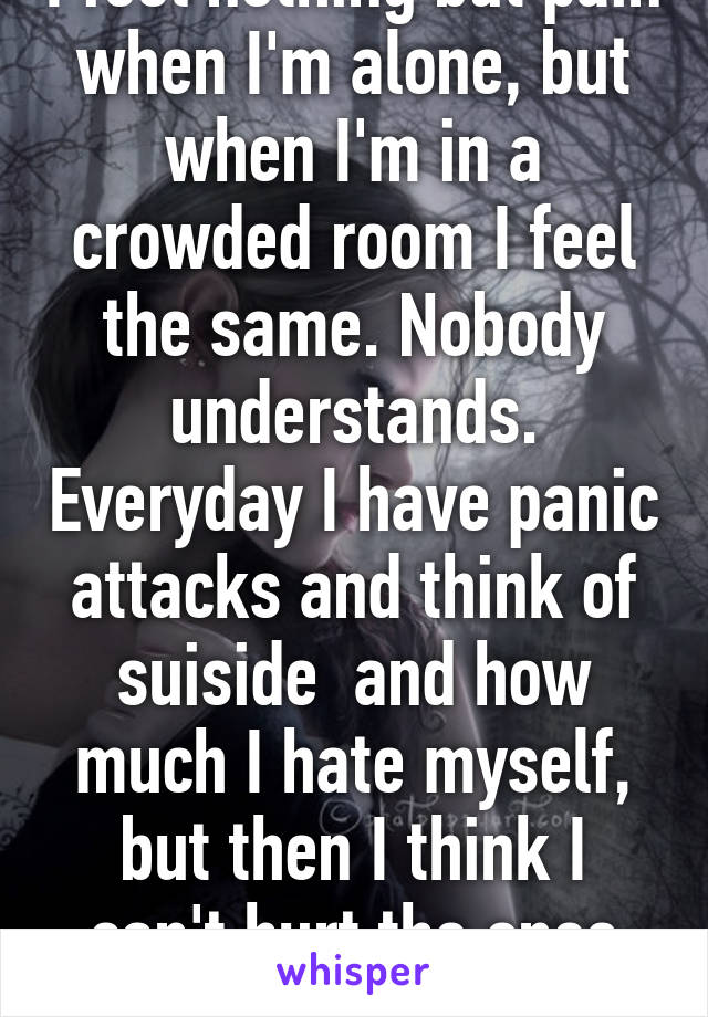 I feel nothing but pain when I'm alone, but when I'm in a crowded room I feel the same. Nobody understands. Everyday I have panic attacks and think of suiside  and how much I hate myself, but then I think I can't hurt the ones who truly care........