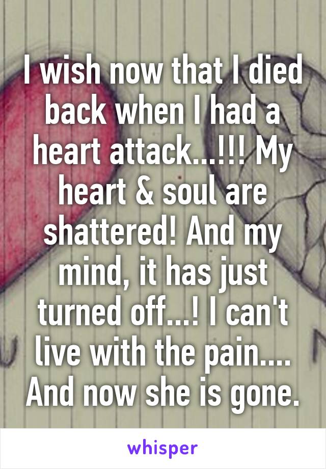 I wish now that I died back when I had a heart attack...!!! My heart & soul are shattered! And my mind, it has just turned off...! I can't live with the pain.... And now she is gone.
