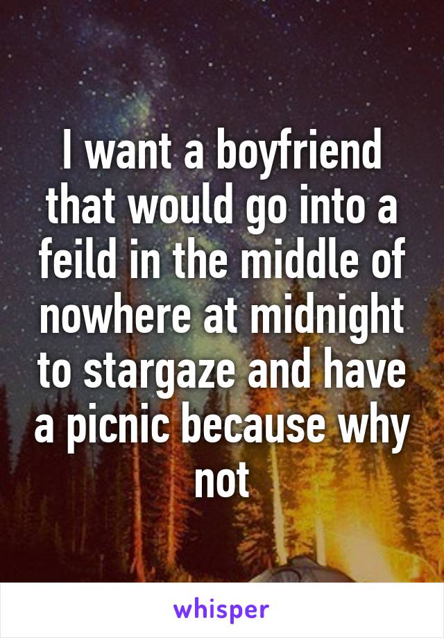 I want a boyfriend that would go into a feild in the middle of nowhere at midnight to stargaze and have a picnic because why not