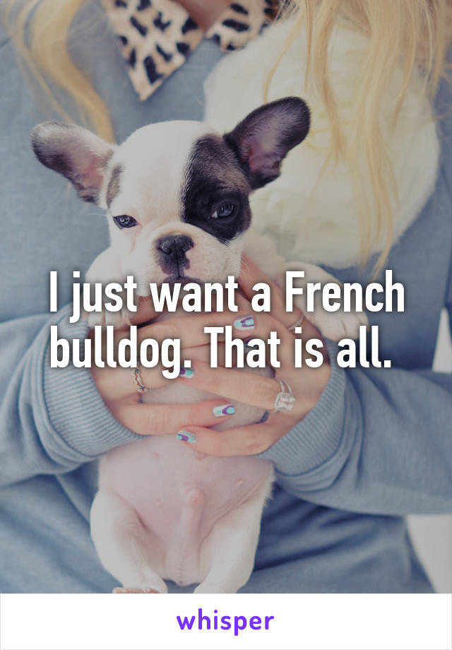 I just want a French bulldog. That is all. 