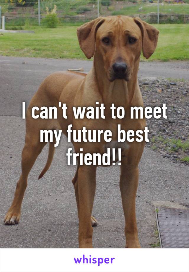 I can't wait to meet my future best friend!!