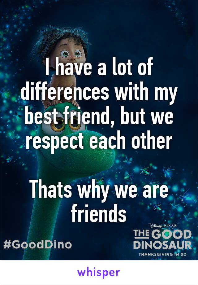 I have a lot of differences with my best friend, but we respect each other

Thats why we are friends
