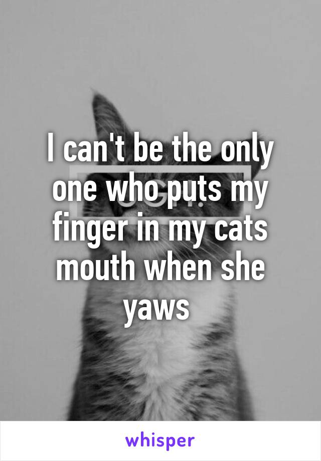 I can't be the only one who puts my finger in my cats mouth when she yaws 