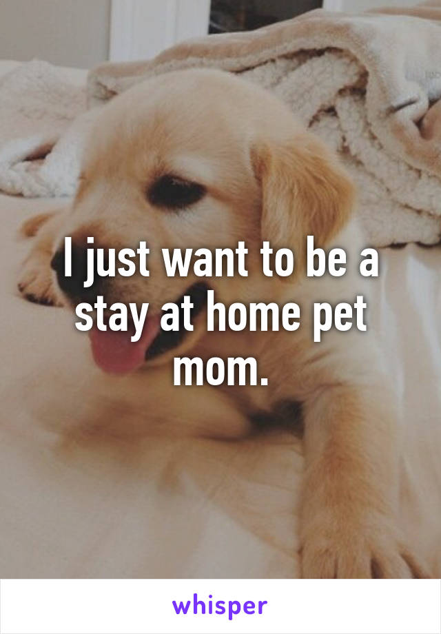 I just want to be a stay at home pet mom.