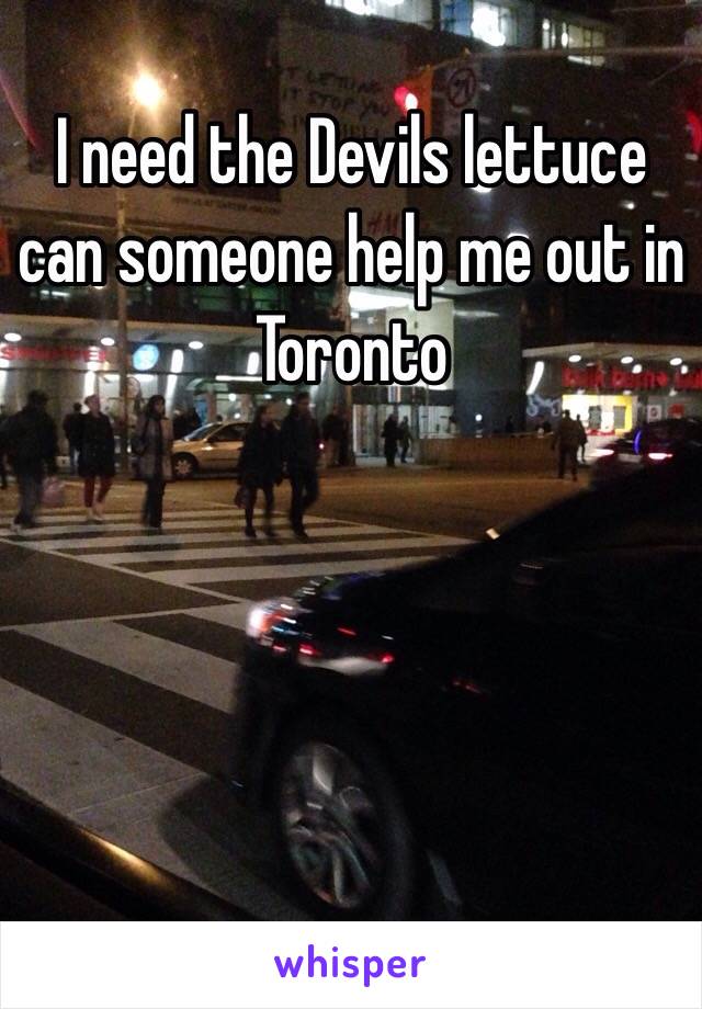 I need the Devils lettuce can someone help me out in Toronto
