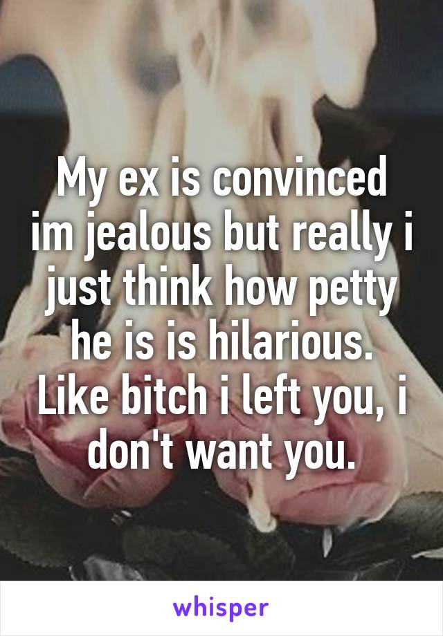 My ex is convinced im jealous but really i just think how petty he is is hilarious. Like bitch i left you, i don't want you.