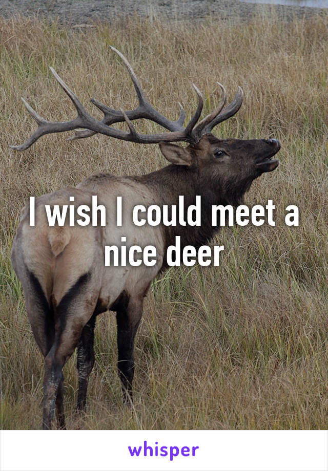 I wish I could meet a nice deer