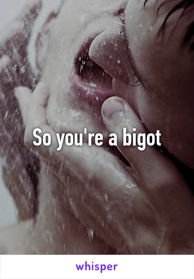 So you're a bigot