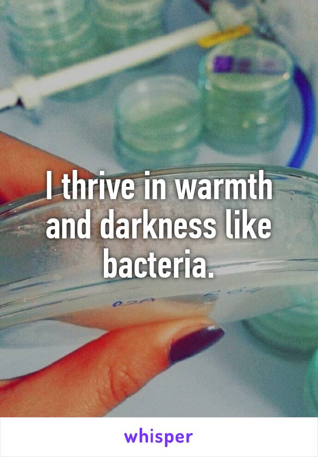 I thrive in warmth and darkness like bacteria.