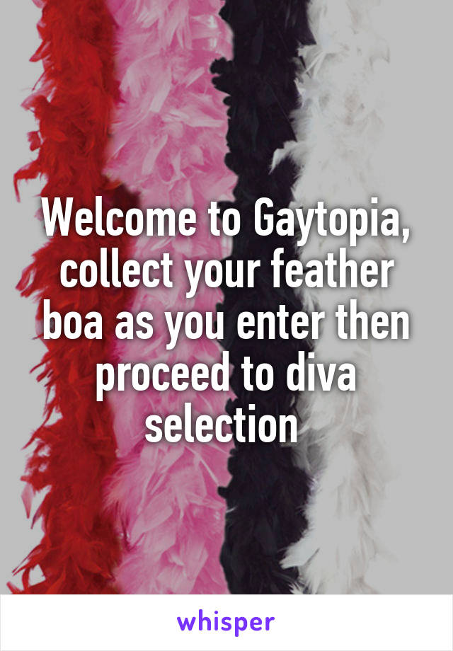 Welcome to Gaytopia, collect your feather boa as you enter then proceed to diva selection 