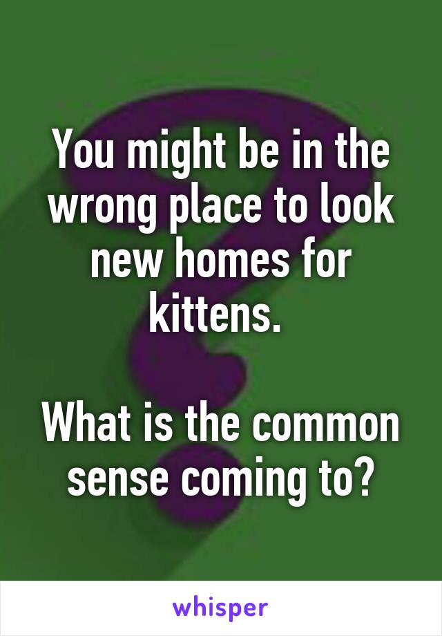 You might be in the wrong place to look new homes for kittens. 

What is the common sense coming to?