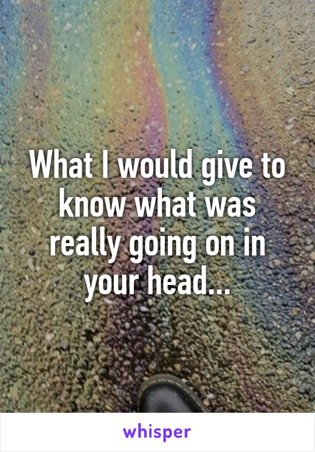 What I would give to know what was really going on in your head...