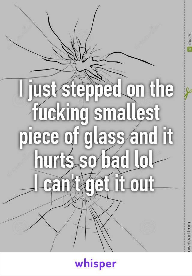 I just stepped on the fucking smallest piece of glass and it hurts so bad lol 
I can't get it out 