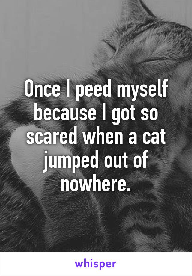 Once I peed myself because I got so scared when a cat jumped out of nowhere.