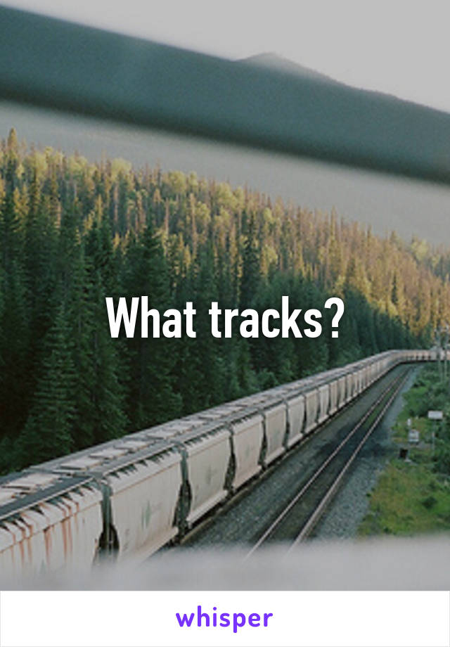 What tracks?
