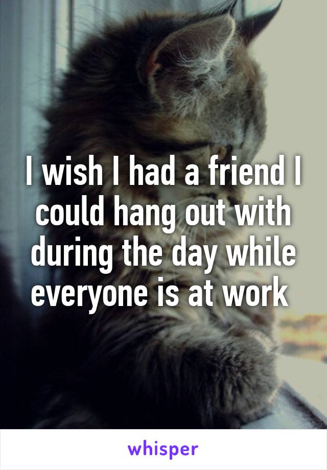 I wish I had a friend I could hang out with during the day while everyone is at work 