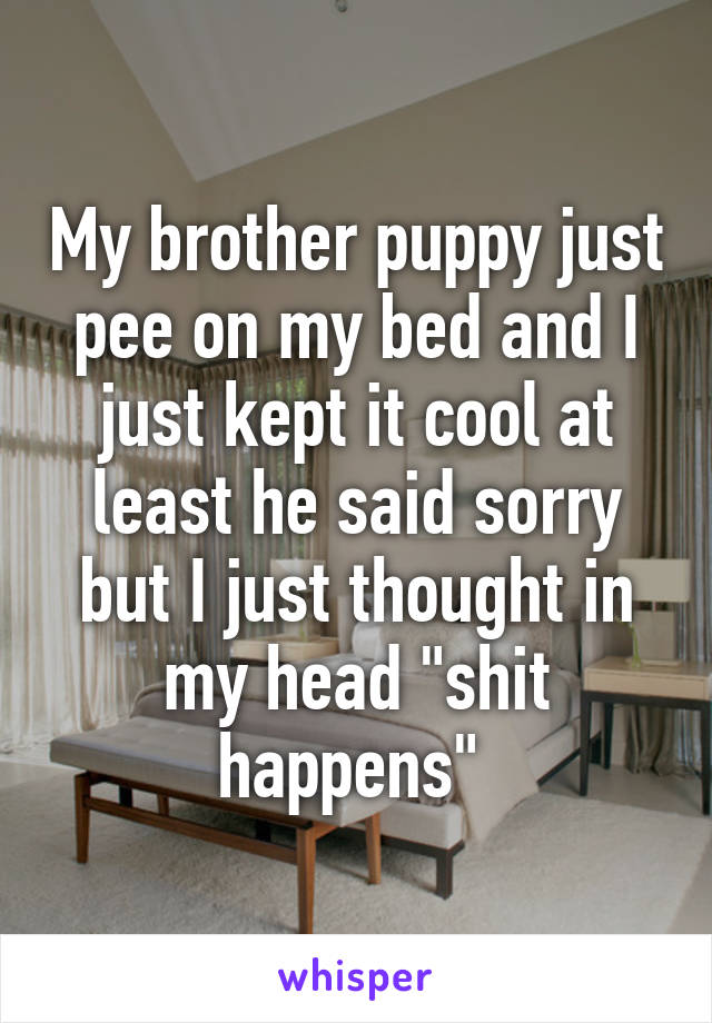 My brother puppy just pee on my bed and I just kept it cool at least he said sorry but I just thought in my head "shit happens" 