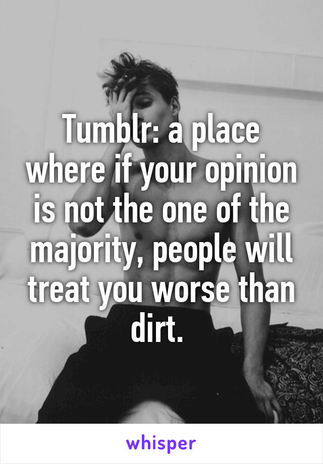 Tumblr: a place where if your opinion is not the one of the majority, people will treat you worse than dirt. 