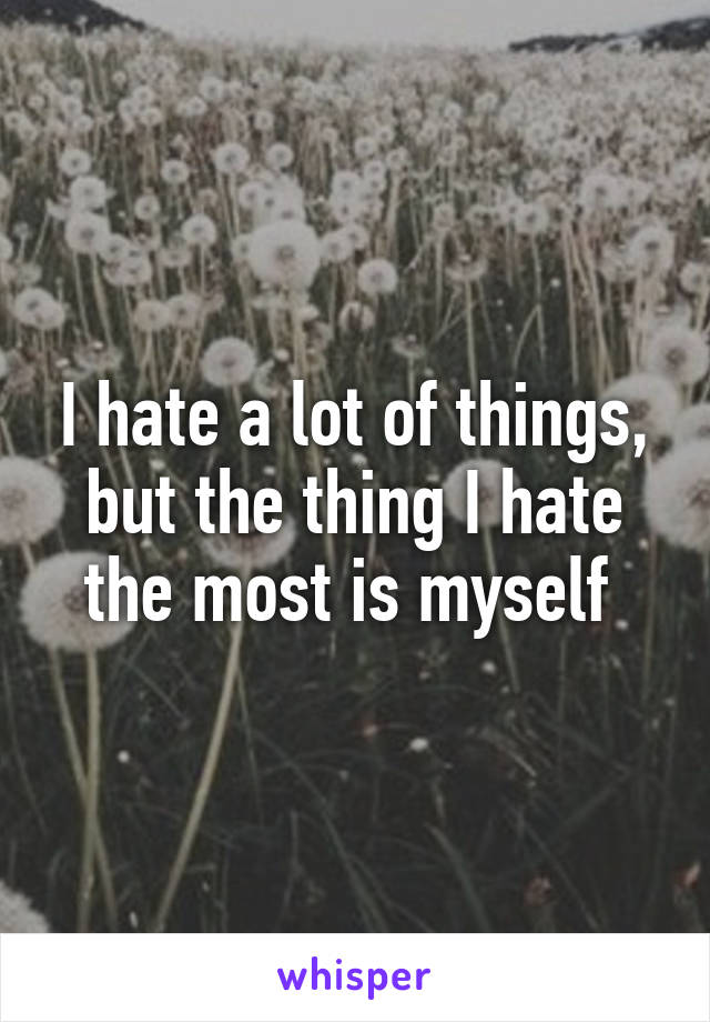 I hate a lot of things, but the thing I hate the most is myself 