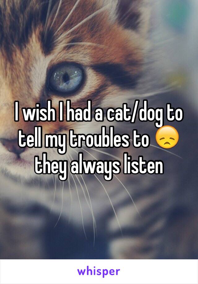 I wish I had a cat/dog to tell my troubles to 😞 they always listen 