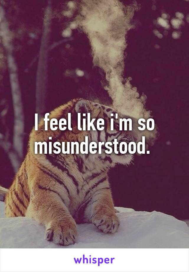 I feel like i'm so misunderstood. 