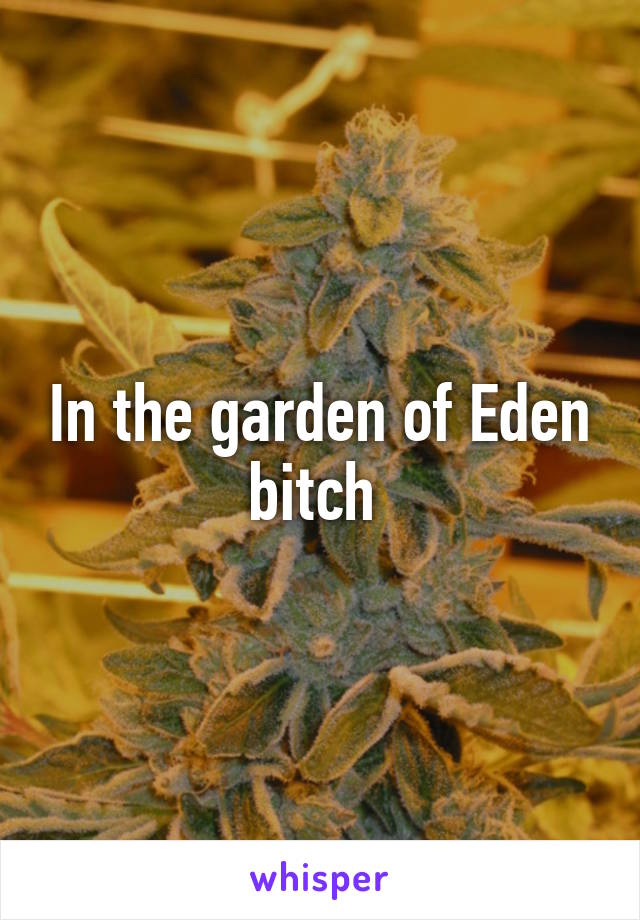 In the garden of Eden bitch 