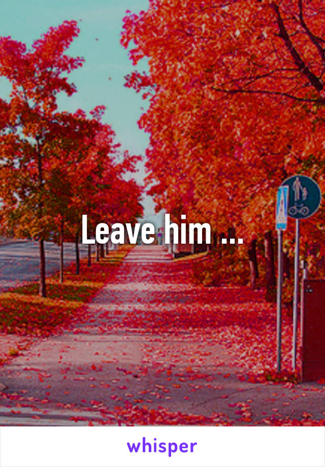 Leave him ...