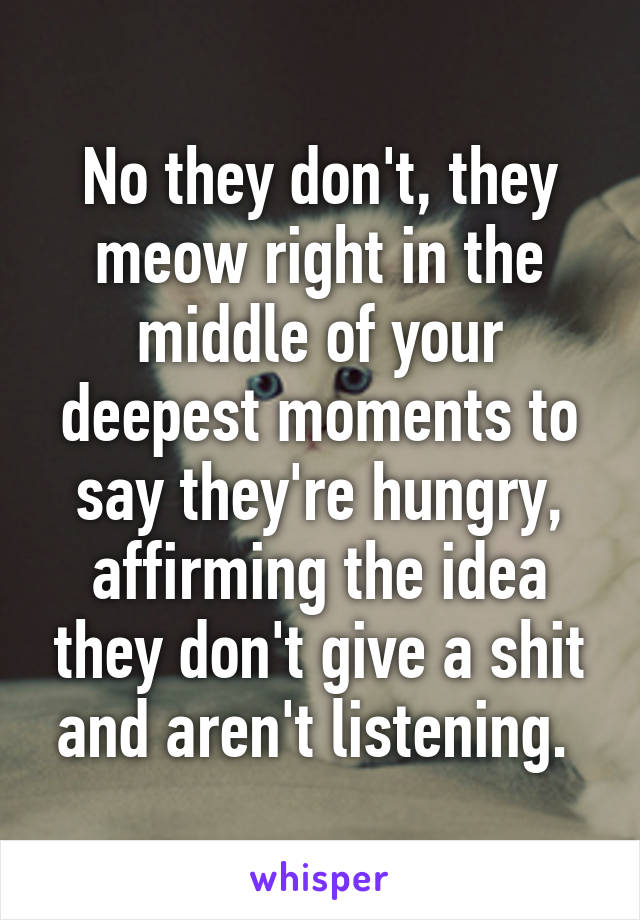 No they don't, they meow right in the middle of your deepest moments to say they're hungry, affirming the idea they don't give a shit and aren't listening. 