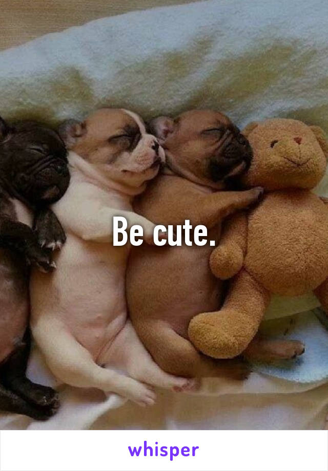 Be cute.