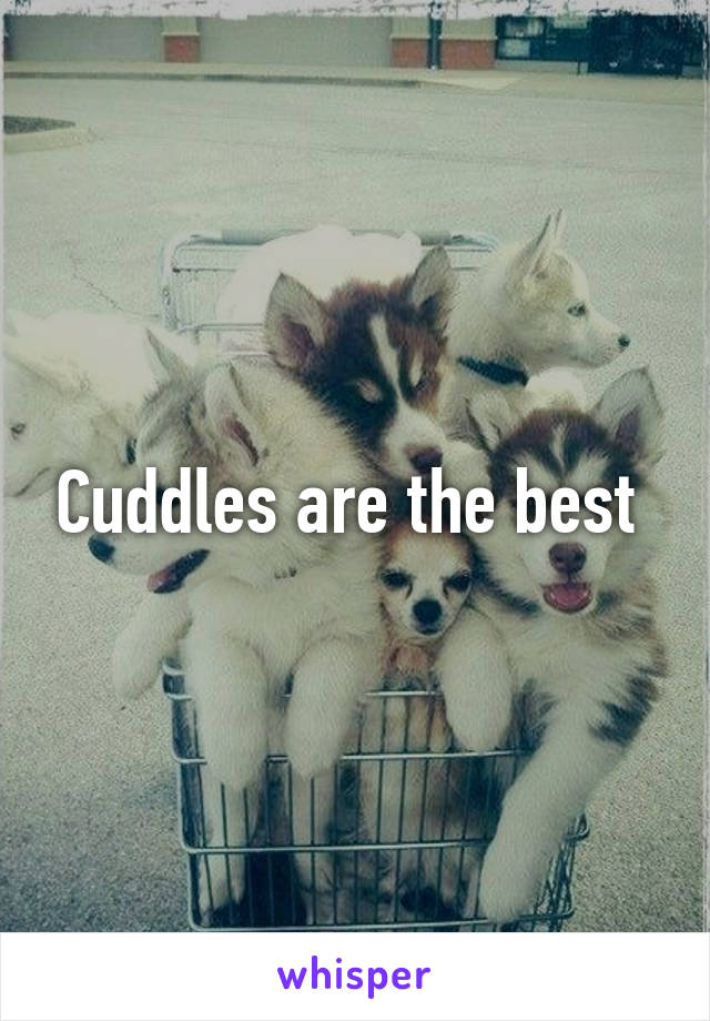 Cuddles are the best 