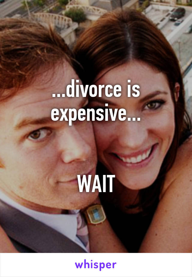 ...divorce is expensive...


WAIT