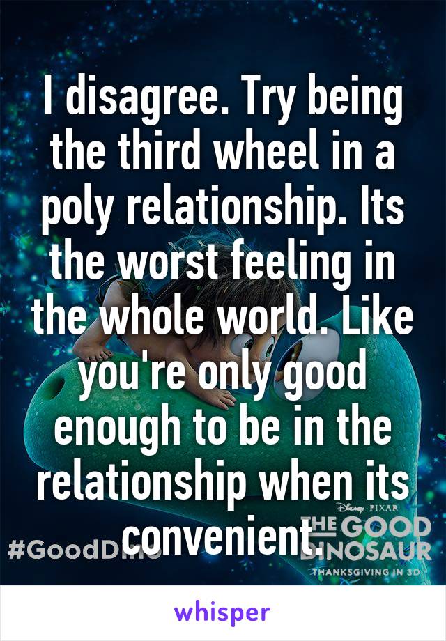 I disagree. Try being the third wheel in a poly relationship. Its the worst feeling in the whole world. Like you're only good enough to be in the relationship when its convenient.
