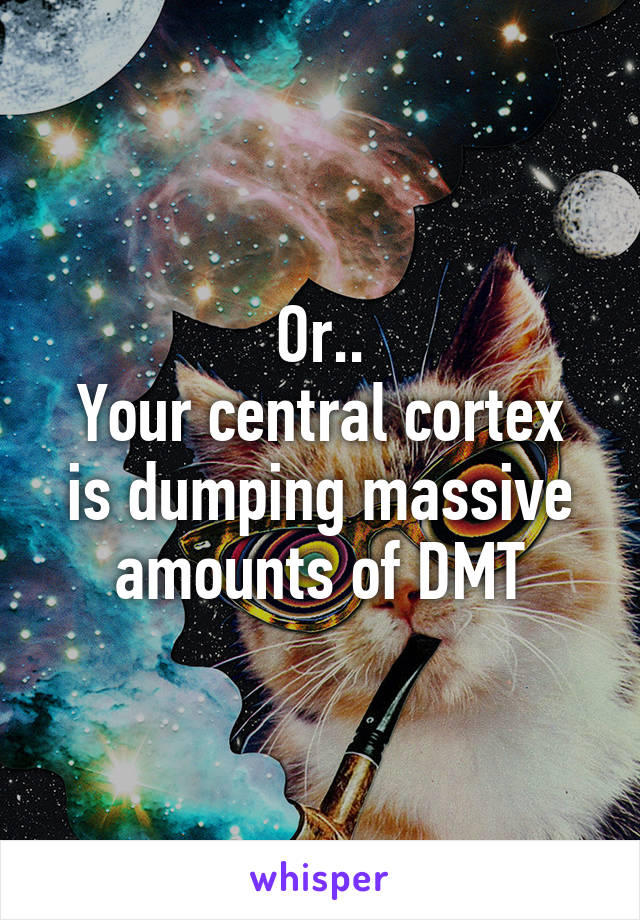 Or..
Your central cortex is dumping massive amounts of DMT