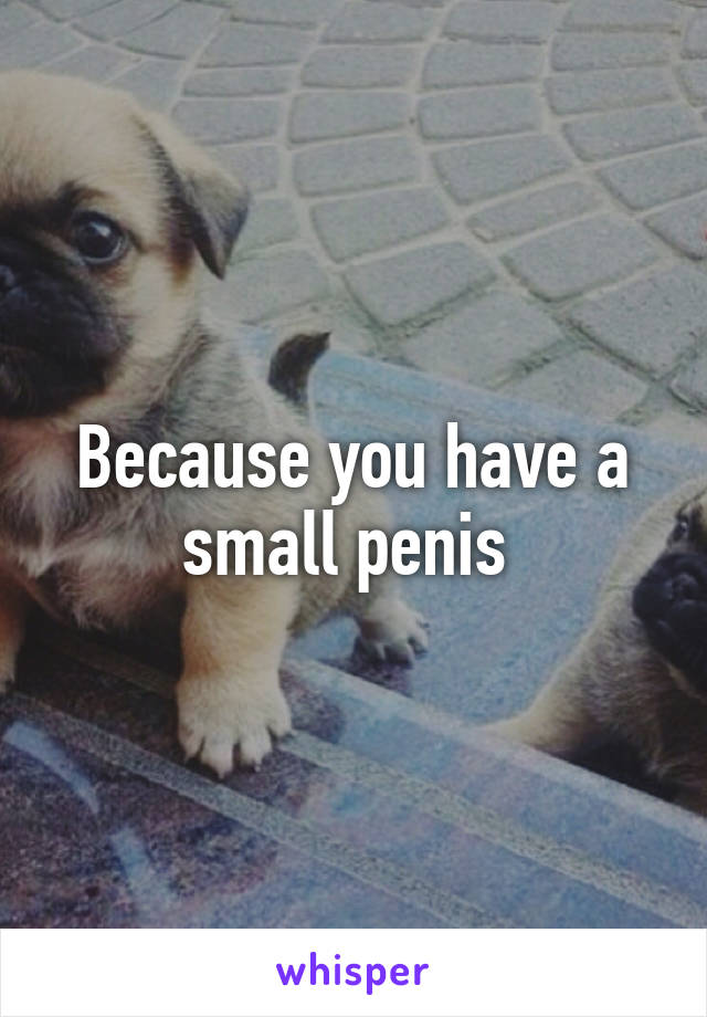 Because you have a small penis 