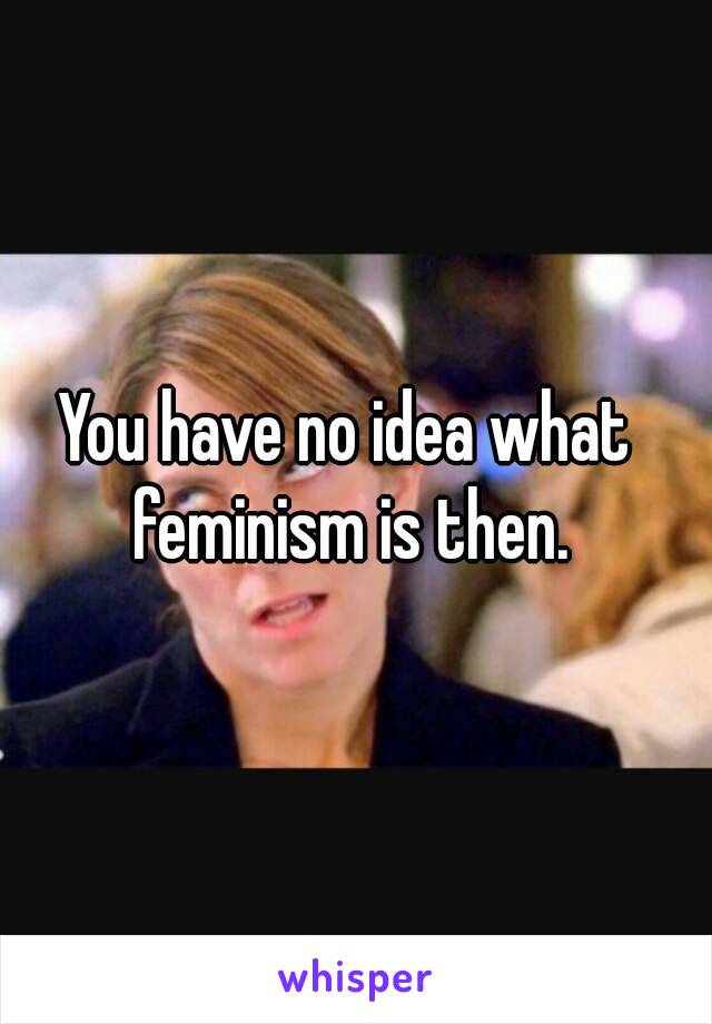 You have no idea what feminism is then.