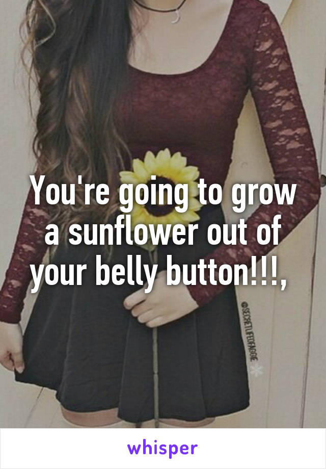 You're going to grow a sunflower out of your belly button!!!, 