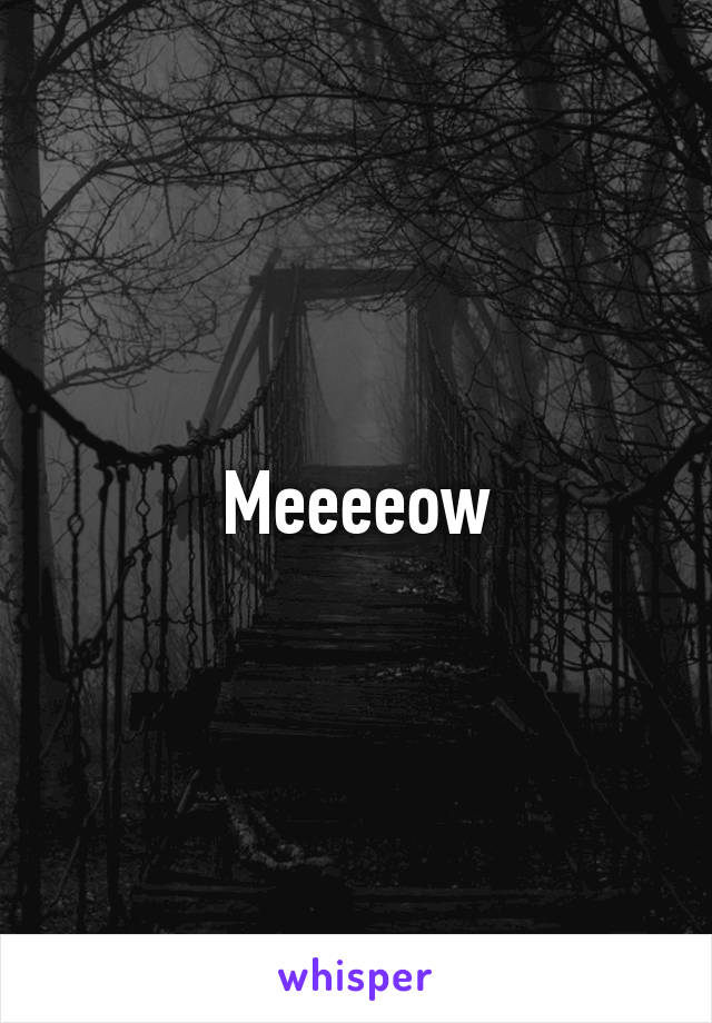 Meeeeow