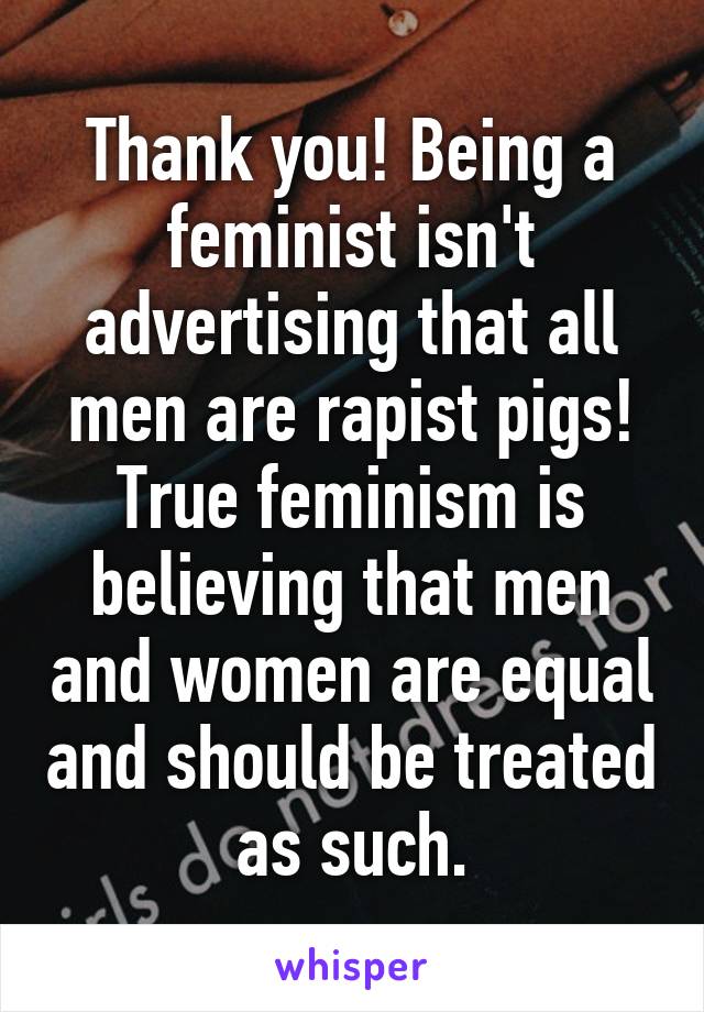 Thank you! Being a feminist isn't advertising that all men are rapist pigs! True feminism is believing that men and women are equal and should be treated as such.