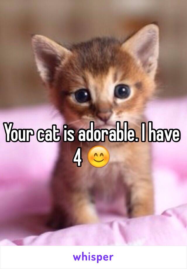 Your cat is adorable. I have 4 😊